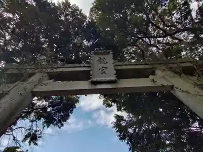 龍宮（江島神社）の鳥居
