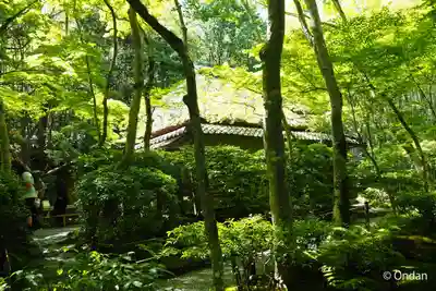 祇王寺(京都府)