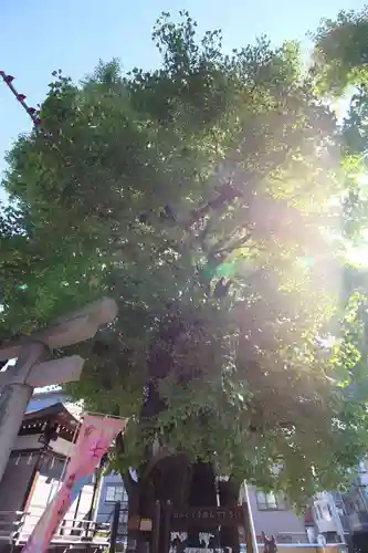 飛木稲荷神社(東京都)