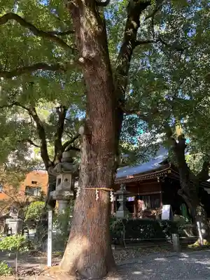 若宮八幡社(愛知県)