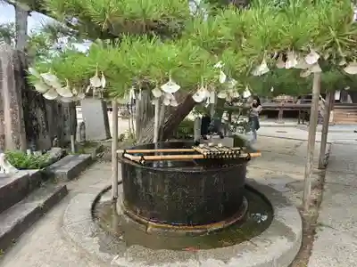 智恩寺(京都府)
