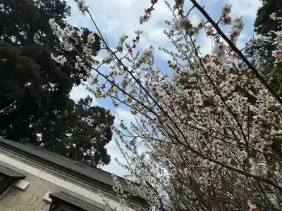 豊景神社の{uncategorized: "未分類", other: "その他", undefined: "問題あり", building: "その他建物", grave: "お墓", sacred_gate: "鳥居", guardian: "狛犬", statue: "像", buddha: "仏像", history: "歴史", nature: "自然", garden: "庭園", animal: "動物", pagoda: "塔", temizu: "手水舎", mountain_gate: "山門・神門", sanctuary: "本殿・本堂", subordinate: "末社・摂社", art: "芸術", scenery: "景色", jizo: "地蔵", ema: "絵馬", goshuin: "御朱印", omikuji: "おみくじ", items: "授与品その他", amulet: "お守り", goshuincho: "御朱印帳", eats: "食事", festival: "お祭り", votive_dance: "神楽", shichigosan: "七五三参", wedding: "結婚式", experience: "体験その他", initially: "初詣", around: "周辺", anti_infection: "感染症対策"}