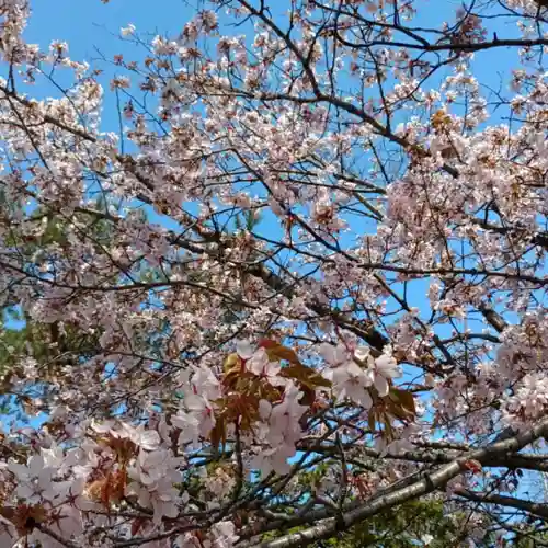 彌彦神社　(伊夜日子神社)の食事