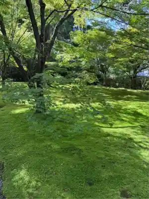 三千院門跡(京都府)