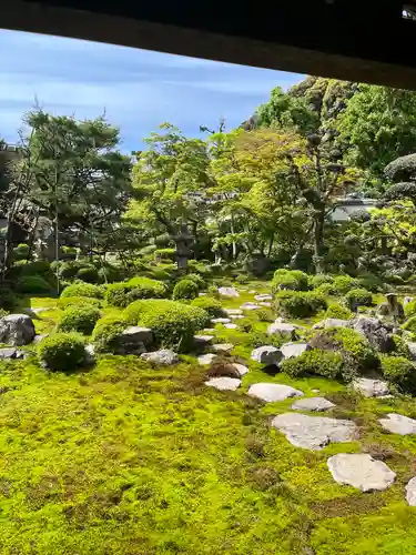 金剛寺の庭園