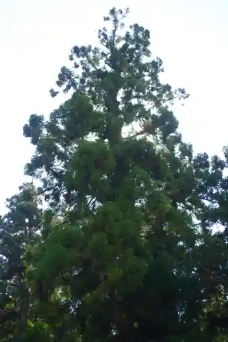大神神社(奈良県)