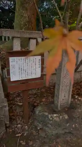 岩屋寺(京都府)