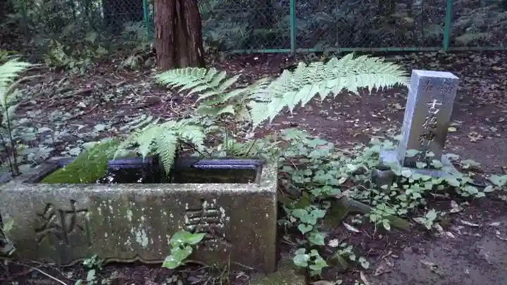 古徳神社の手水舎