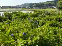本興寺(石川県)