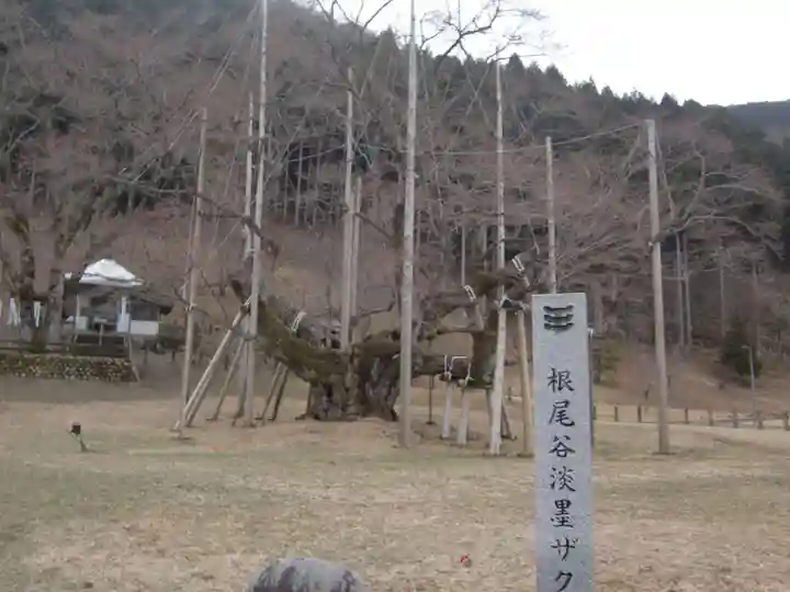 淡墨観音(岐阜県)