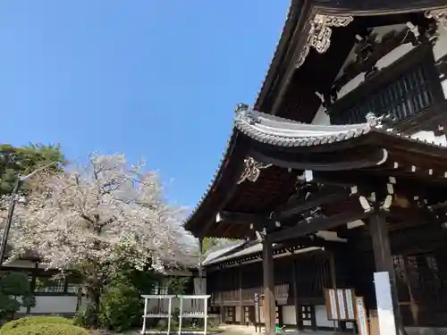 総持寺(神奈川県)
