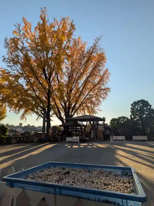 成願寺(東京都)