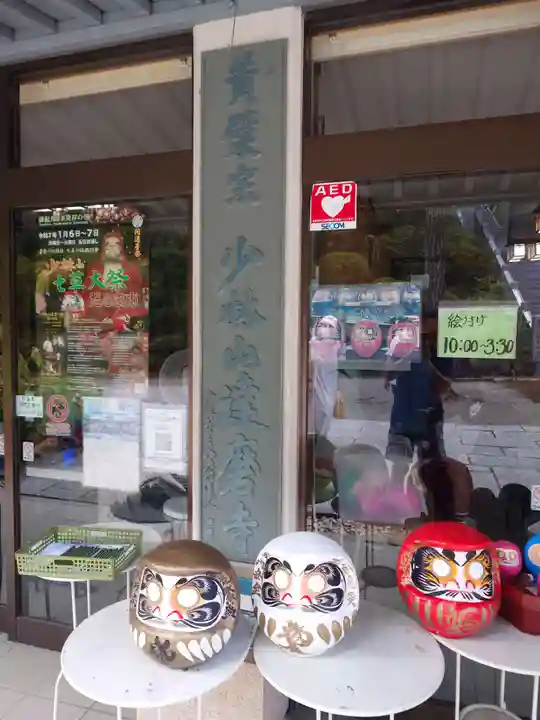 達磨寺(群馬県)