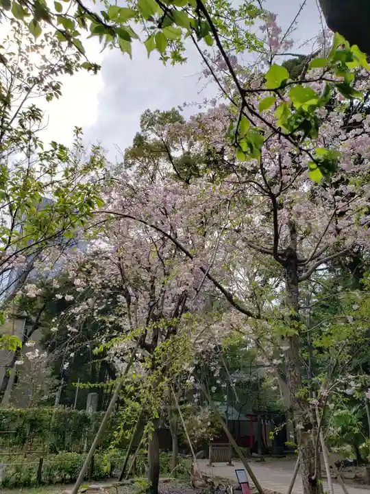 赤坂氷川神社(東京都)