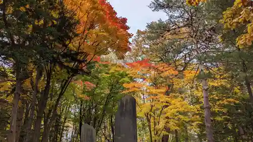 上川神社の景色