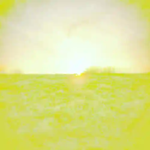 亀戸天神社の周辺