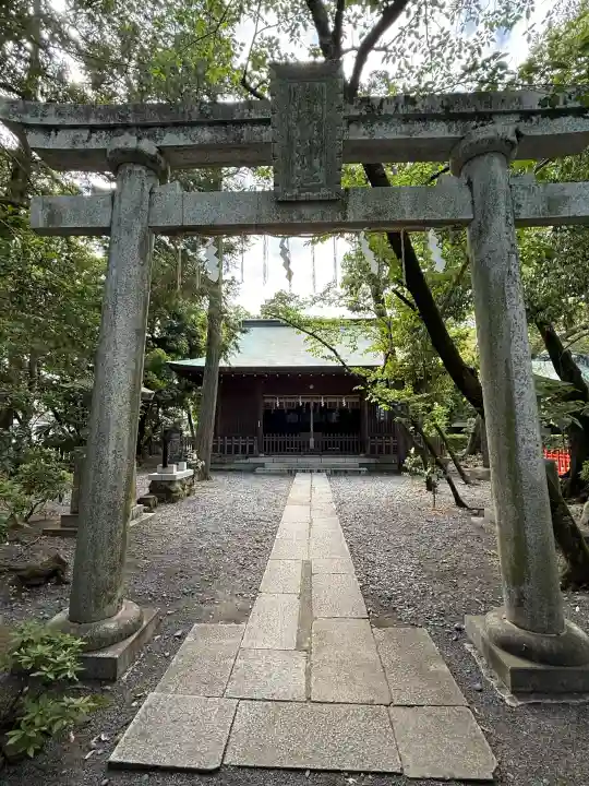 大井神社の{uncategorized: "未分類", other: "その他", undefined: "問題あり", building: "その他建物", grave: "お墓", sacred_gate: "鳥居", guardian: "狛犬", statue: "像", buddha: "仏像", history: "歴史", nature: "自然", garden: "庭園", animal: "動物", pagoda: "塔", temizu: "手水舎", mountain_gate: "山門・神門", sanctuary: "本殿・本堂", subordinate: "末社・摂社", art: "芸術", scenery: "景色", jizo: "地蔵", ema: "絵馬", goshuin: "御朱印", omikuji: "おみくじ", items: "授与品その他", amulet: "お守り", goshuincho: "御朱印帳", eats: "食事", festival: "お祭り", votive_dance: "神楽", shichigosan: "七五三参", wedding: "結婚式", experience: "体験その他", initially: "初詣", around: "周辺", anti_infection: "感染症対策"}