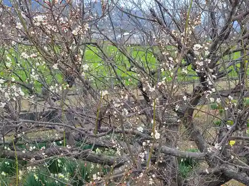 浮嶋神社(愛媛県)