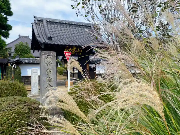 建正寺(埼玉県)