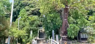 大國魂神社のその他建物
