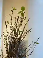 メノコト神社(京都府)