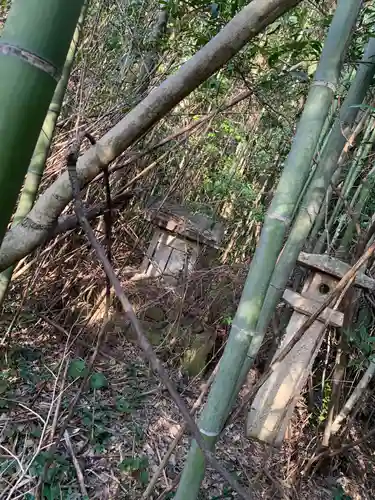 大歳神社の自然