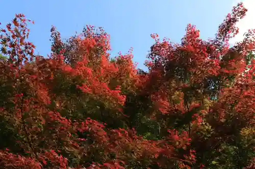 滑川神社 - 仕事と子どもの守り神の自然