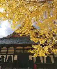 本遠寺の本殿