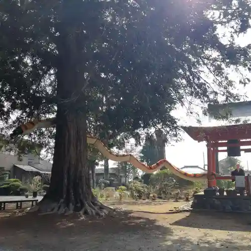 観音寺(茨城県)