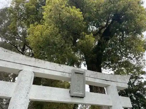 溝口竃門神社(福岡県)