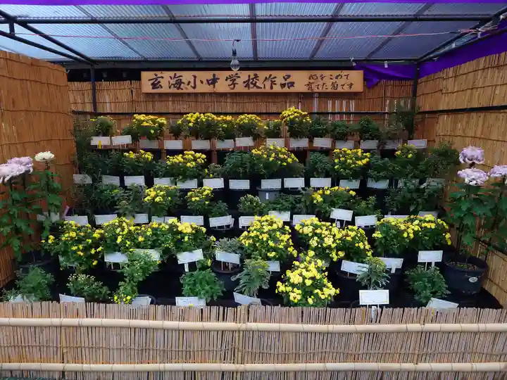 宗像大社(福岡県)