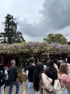 春日大社(奈良県)