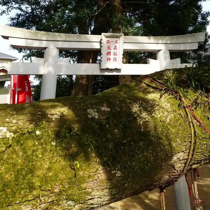 森稲荷大明神の自然