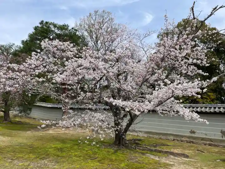 仁和寺(京都府)
