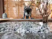 札幌諏訪神社の手水舎