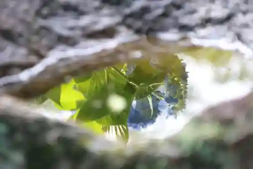 三春駒神社の手水