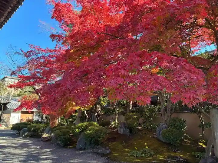 法観寺(京都府)