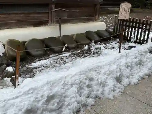 武蔵一宮氷川神社(埼玉県)