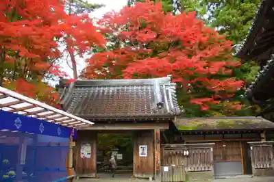 中尊寺金色堂(岩手県)
