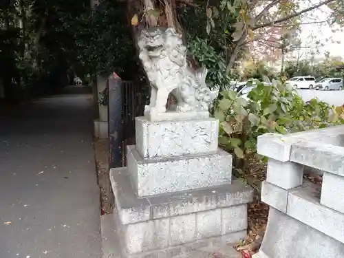 岩槻久伊豆神社の狛犬