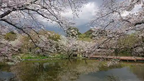 鶴岡八幡宮の{uncategorized: "未分類", other: "その他", undefined: "問題あり", building: "その他建物", grave: "お墓", sacred_gate: "鳥居", guardian: "狛犬", statue: "像", buddha: "仏像", history: "歴史", nature: "自然", garden: "庭園", animal: "動物", pagoda: "塔", temizu: "手水舎", mountain_gate: "山門・神門", sanctuary: "本殿・本堂", subordinate: "末社・摂社", art: "芸術", scenery: "景色", jizo: "地蔵", ema: "絵馬", goshuin: "御朱印", omikuji: "おみくじ", items: "授与品その他", amulet: "お守り", goshuincho: "御朱印帳", eats: "食事", festival: "お祭り", votive_dance: "神楽", shichigosan: "七五三参", wedding: "結婚式", experience: "体験その他", initially: "初詣", around: "周辺", anti_infection: "感染症対策"}
