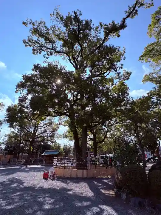 川原神社の{uncategorized: "未分類", other: "その他", undefined: "問題あり", building: "その他建物", grave: "お墓", sacred_gate: "鳥居", guardian: "狛犬", statue: "像", buddha: "仏像", history: "歴史", nature: "自然", garden: "庭園", animal: "動物", pagoda: "塔", temizu: "手水舎", mountain_gate: "山門・神門", sanctuary: "本殿・本堂", subordinate: "末社・摂社", art: "芸術", scenery: "景色", jizo: "地蔵", ema: "絵馬", goshuin: "御朱印", omikuji: "おみくじ", items: "授与品その他", amulet: "お守り", goshuincho: "御朱印帳", eats: "食事", festival: "お祭り", votive_dance: "神楽", shichigosan: "七五三参", wedding: "結婚式", experience: "体験その他", initially: "初詣", around: "周辺", anti_infection: "感染症対策"}