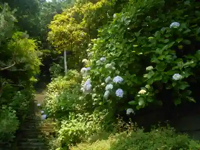 岩殿寺(神奈川県)