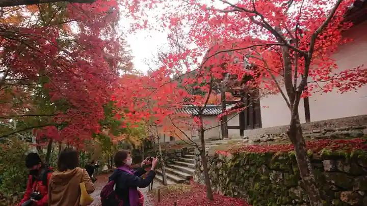 二尊院のその他建物