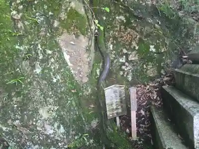 阿賀神社(滋賀県)