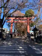 武蔵一宮氷川神社(埼玉県)