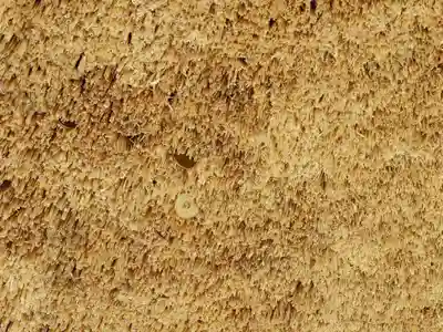 常陸国出雲大社のその他建物