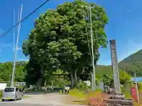 玉依比売命神社の鳥居