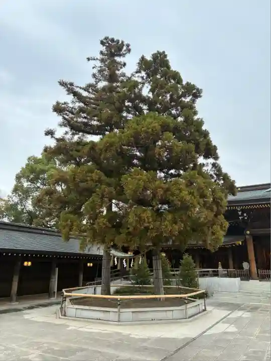 寒川神社(神奈川県)