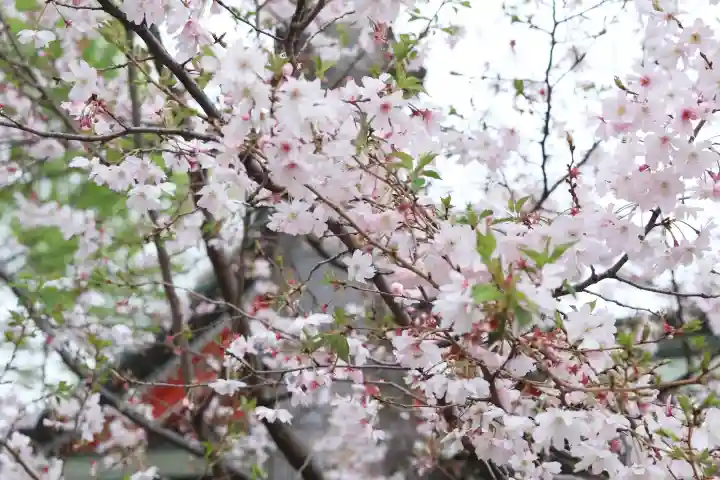 川越八幡宮の{uncategorized: "未分類", other: "その他", undefined: "問題あり", building: "その他建物", grave: "お墓", sacred_gate: "鳥居", guardian: "狛犬", statue: "像", buddha: "仏像", history: "歴史", nature: "自然", garden: "庭園", animal: "動物", pagoda: "塔", temizu: "手水舎", mountain_gate: "山門・神門", sanctuary: "本殿・本堂", subordinate: "末社・摂社", art: "芸術", scenery: "景色", jizo: "地蔵", ema: "絵馬", goshuin: "御朱印", omikuji: "おみくじ", items: "授与品その他", amulet: "お守り", goshuincho: "御朱印帳", eats: "食事", festival: "お祭り", votive_dance: "神楽", shichigosan: "七五三参", wedding: "結婚式", experience: "体験その他", initially: "初詣", around: "周辺", anti_infection: "感染症対策"}